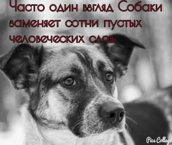 Так!