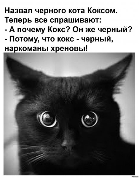 Наркоманы хреновы!