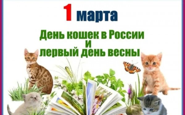 picture_407386623
