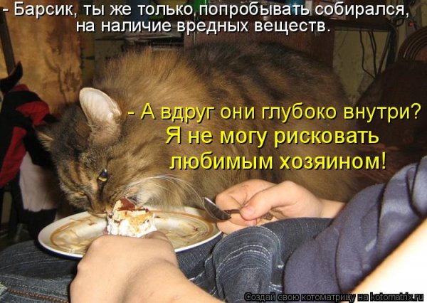 Я не могу рисковать...