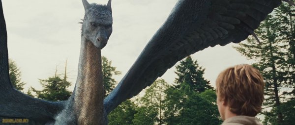 Eragon 120061 BDRip mkv snapshot 0