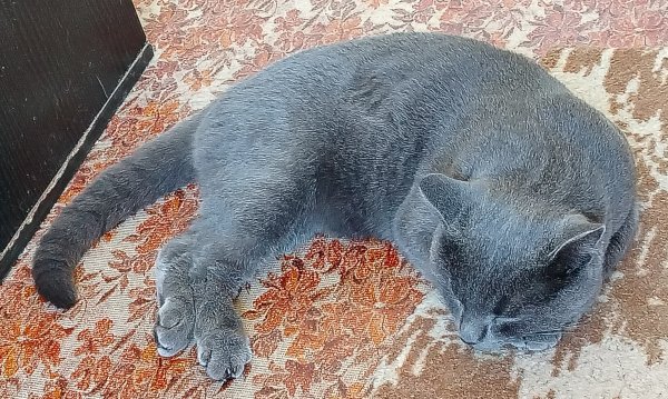 picture_394655232