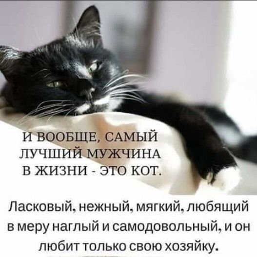 picture_388869397