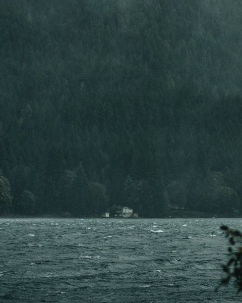 picture_401242092