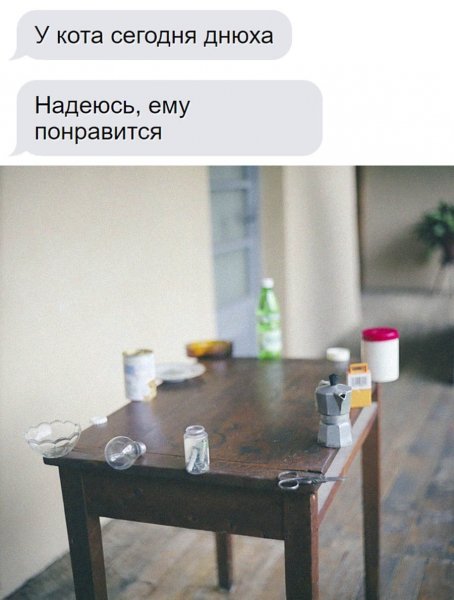 Днюха у кота