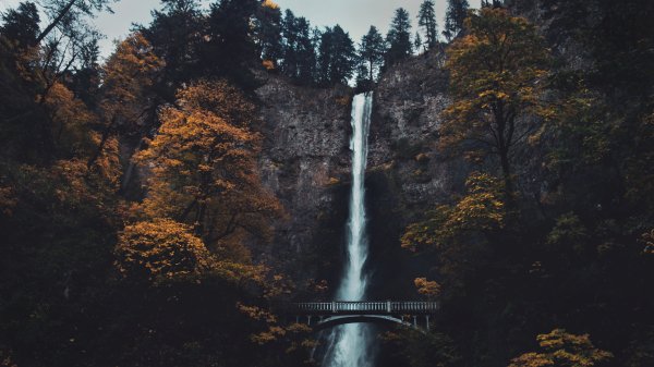picture_398918008