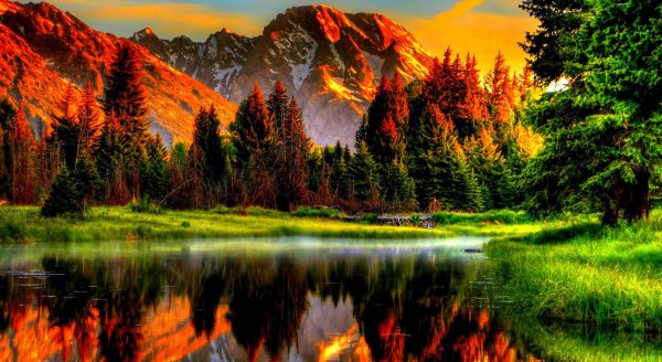 4k-nature-at-golden-hour-5281oz5sljar0zfm