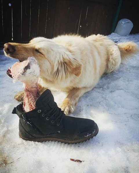 Ëпрст!!!!!
