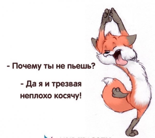 IMG 20171113 230040 2