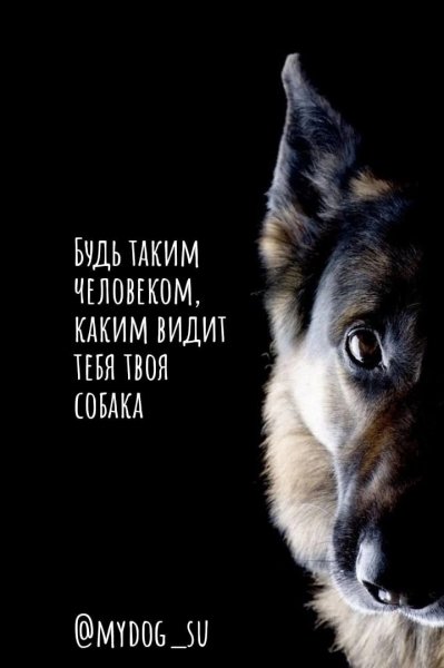 Так!