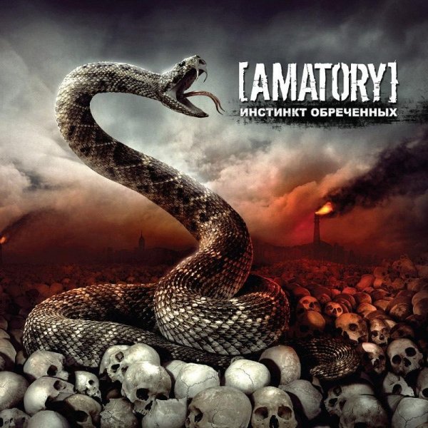 Amatory(12)