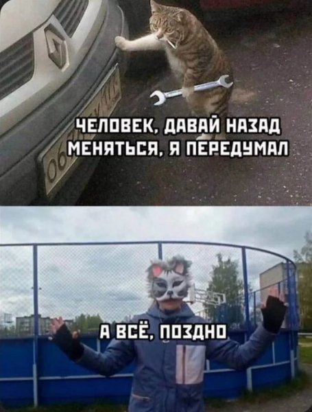 3cc8765733 luchshie-memy-dlja-teh-kto-priunyl-5
