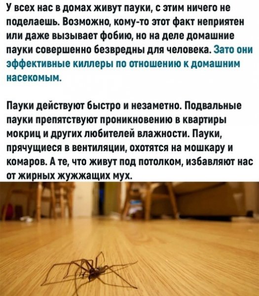 (2)