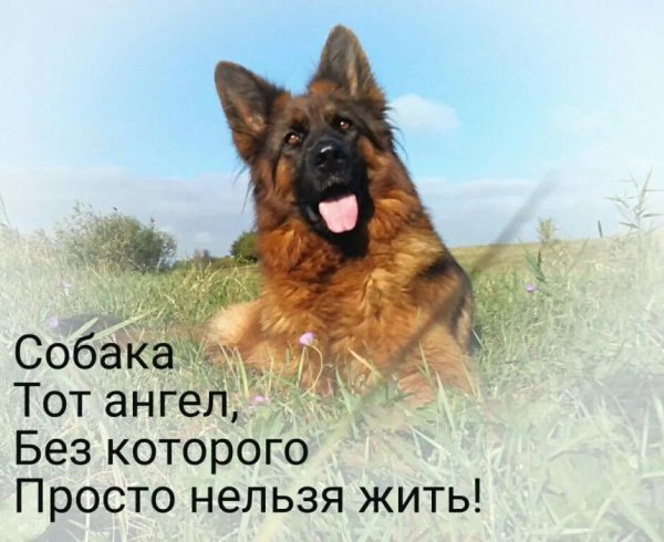 Так!