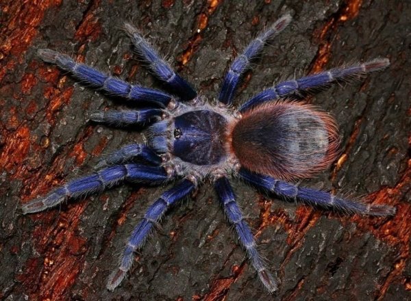 IMG 6634