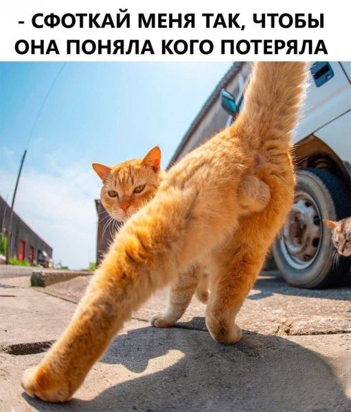 -5375120716355206824 121