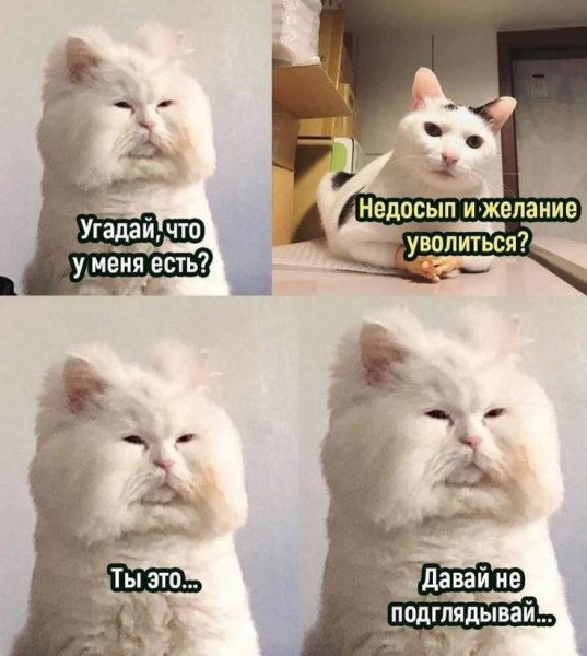 Угадай