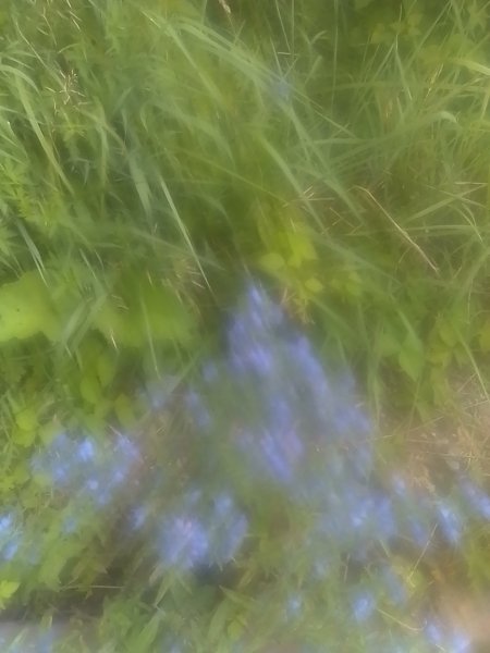 IMG 20200717 115803