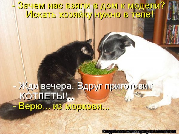 Из моркови...