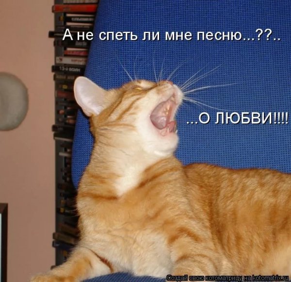 О любви!!!