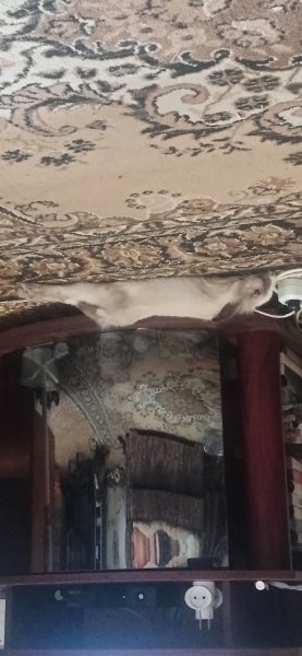 IMG 20210807 173608