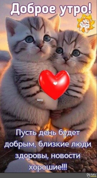 IMG-20240131-WA0001