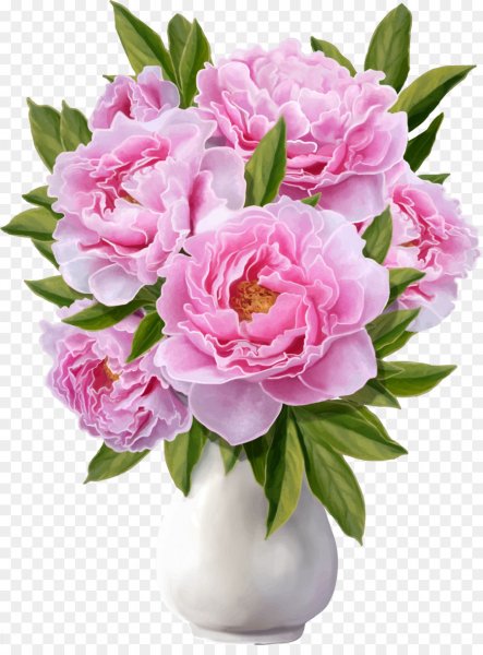 eony-5ac1b02c56f0b2.8729398615226429883561