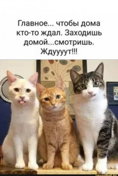 Главное...
