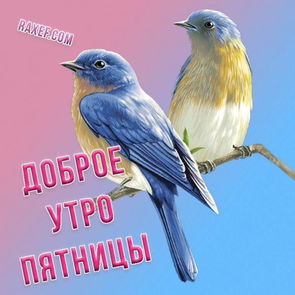 Доброе утро пятницы