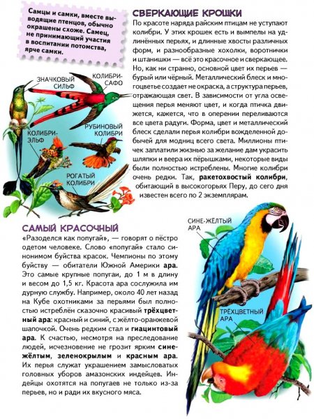 Яркий мир