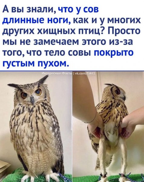 IMG 20240908 194453