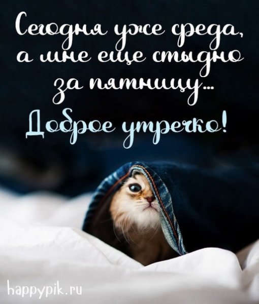 Доброе утречко!