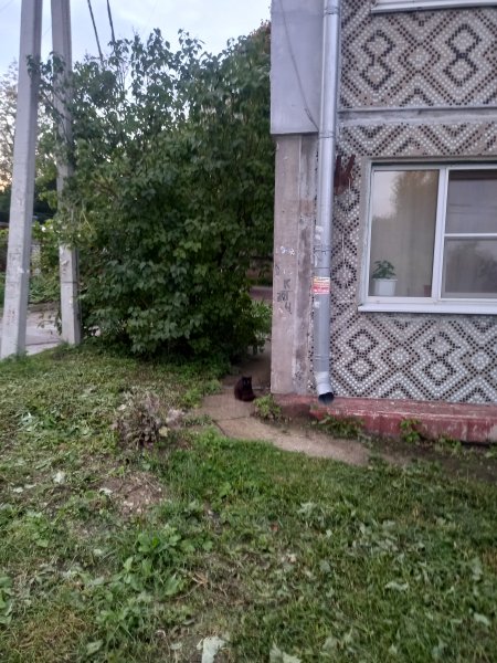 picture_395242170