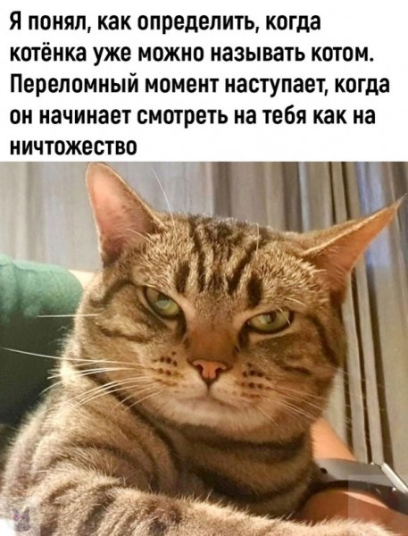 Я понял...
