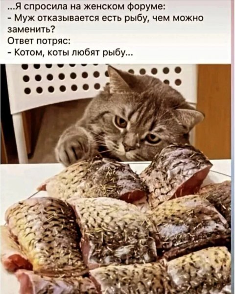 Да! ))