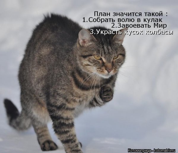 Да! ))