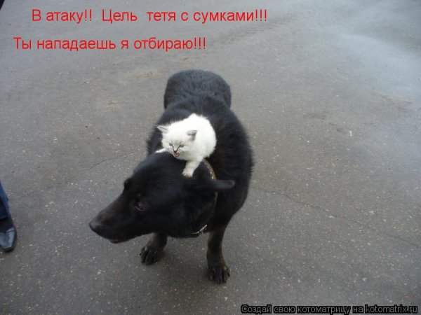 Я отбираю!!!