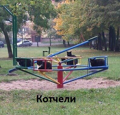 Images 9668