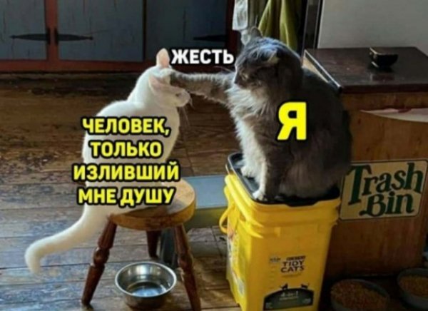 F0528b1c1f 20453233
