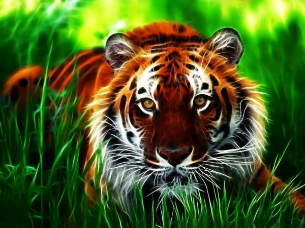 3D-Wallpapers-9