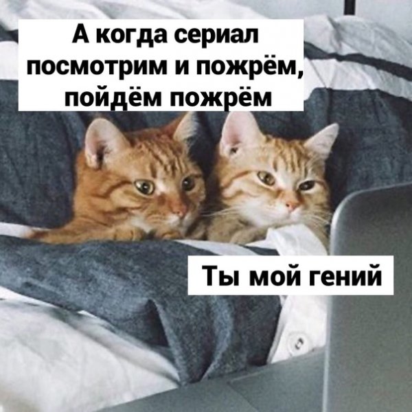 Ты мой гений