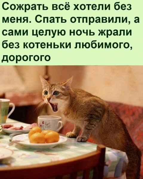 А???!!!!