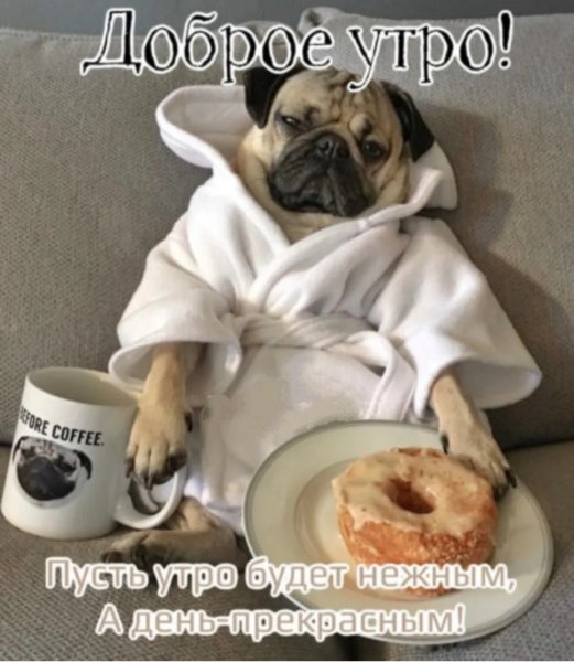 Доброе утро!