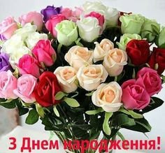 6a04d72412c0ab9fce25f78b60872d50