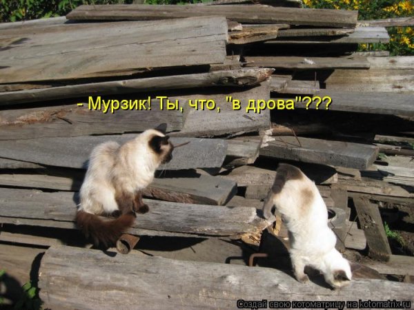 А???