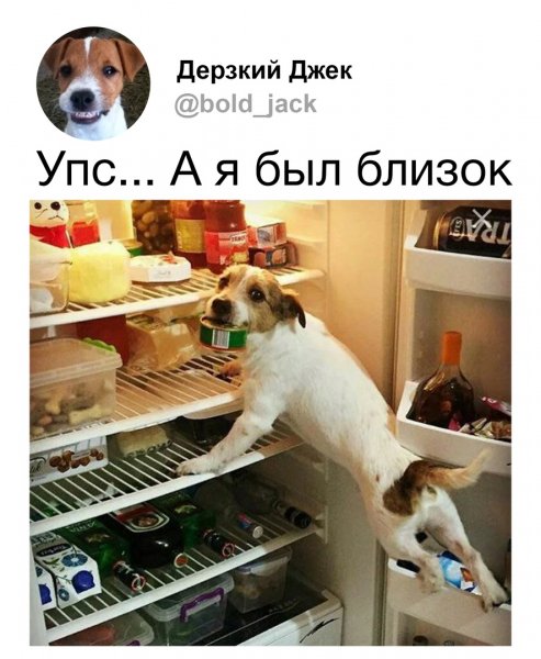 Упс...