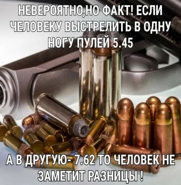 Д.Действительность