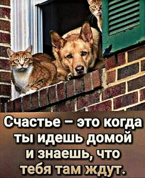 Тебя там ждут