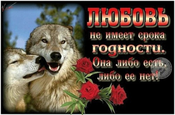 image (47)