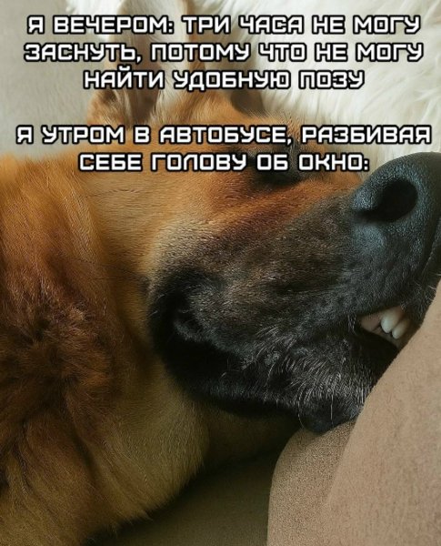 picture_396195409